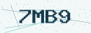 Dört karakterli güvenlik kodu