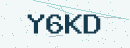 Dört karakterli güvenlik kodu