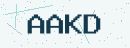 Dört karakterli güvenlik kodu