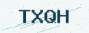 Dört karakterli güvenlik kodu