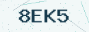 Dört karakterli güvenlik kodu